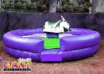 mechanical-bull-ride-inflatable-event